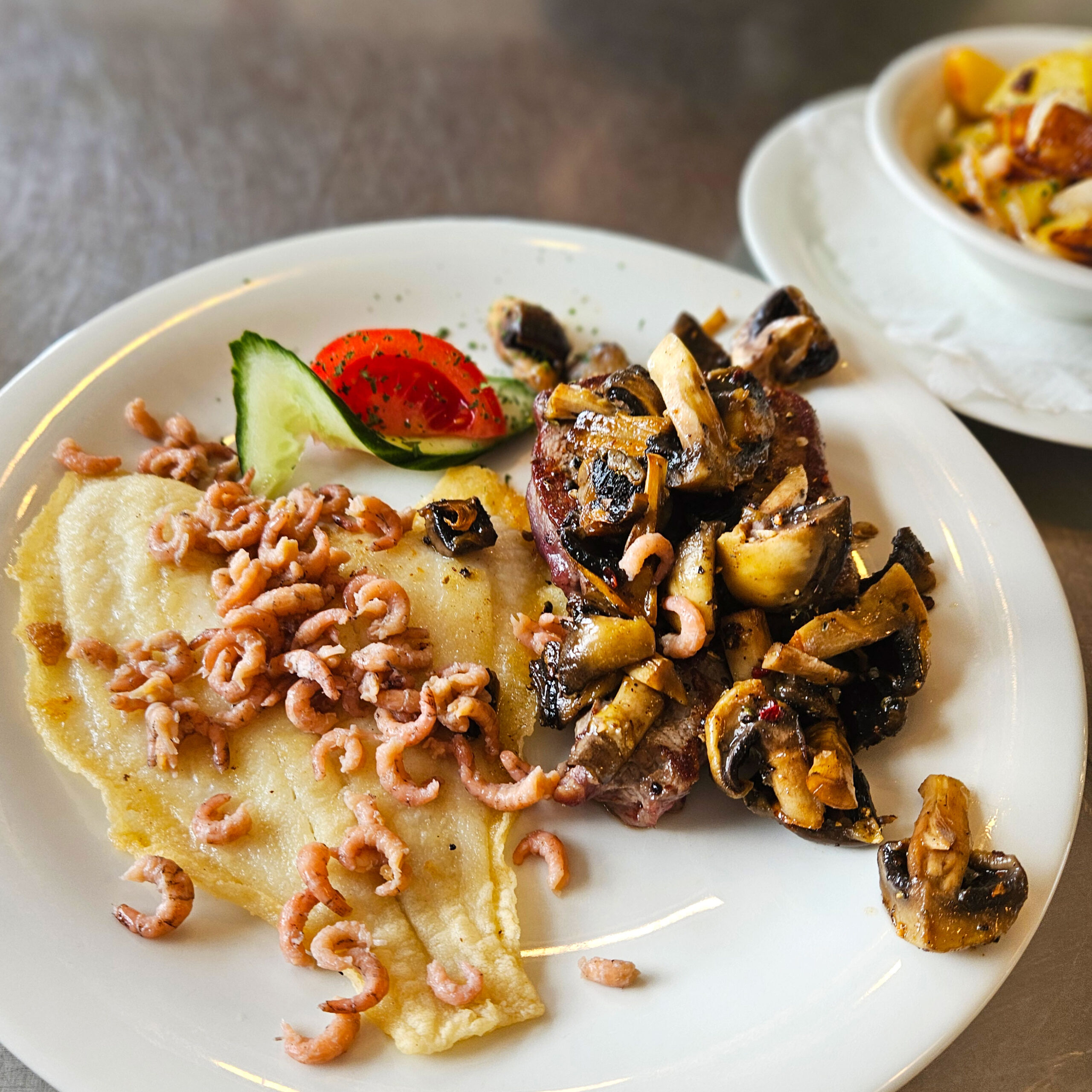 Ein Teller mit Fischfilet, Krabben und Pilzen, kunstvoll angerichtet im familiären Strandcafé Sturmeck.